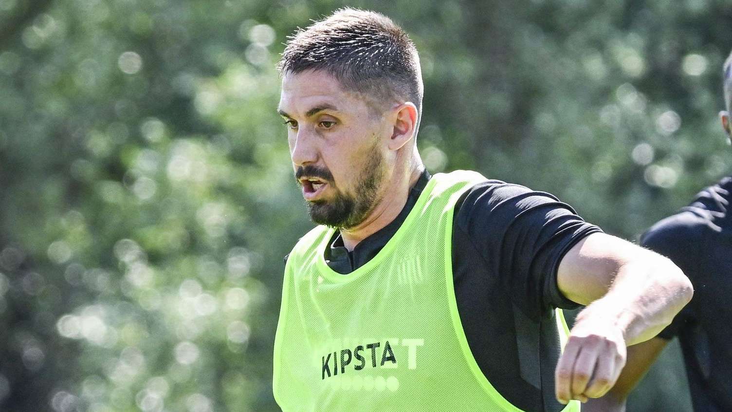 许多成功的 许多成功的