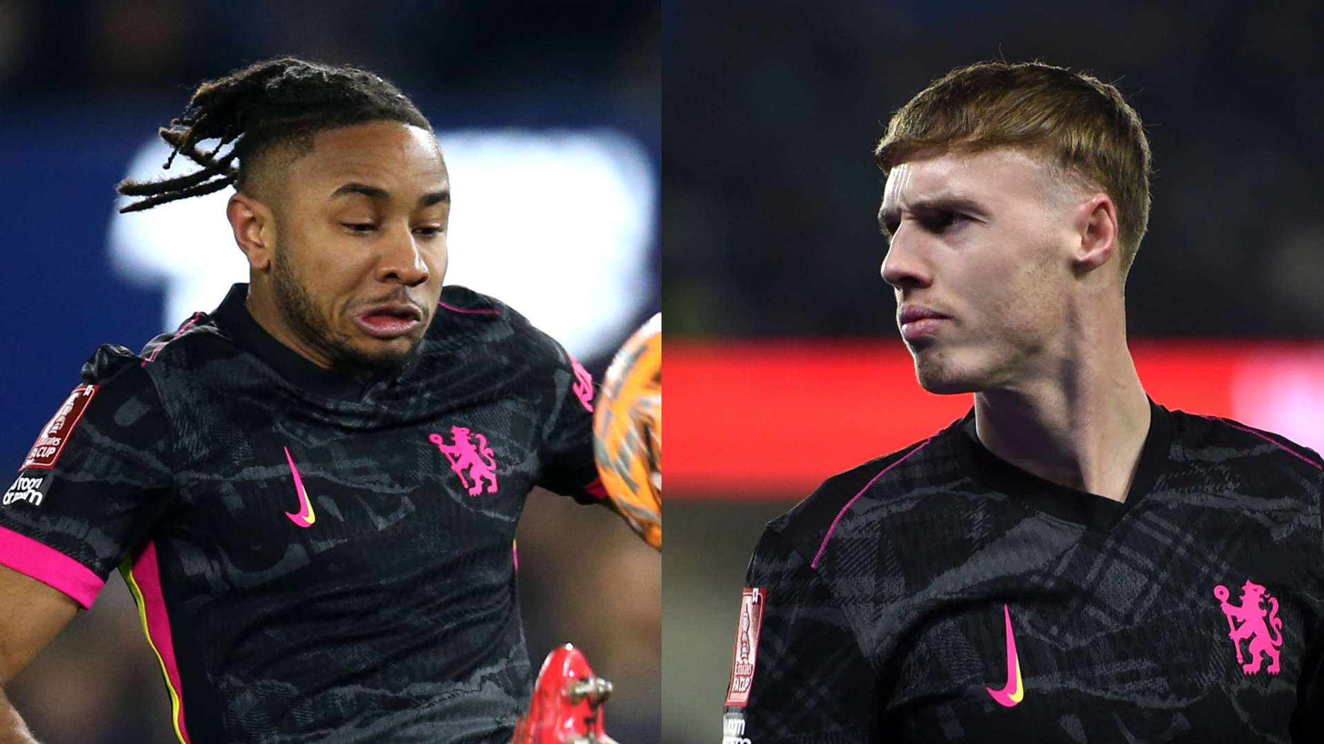 的精湛表演 的精湛表演